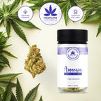 Amnésia Fleur de CBD (12g) - Hempline
