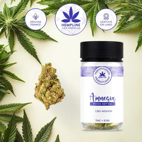 Amnésia Fleur de CBD (12g) - Hempline