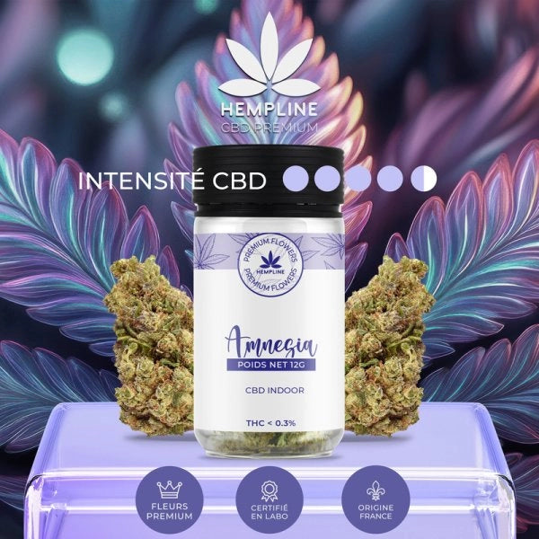 Amnésia Fleur de CBD (12g) - Hempline