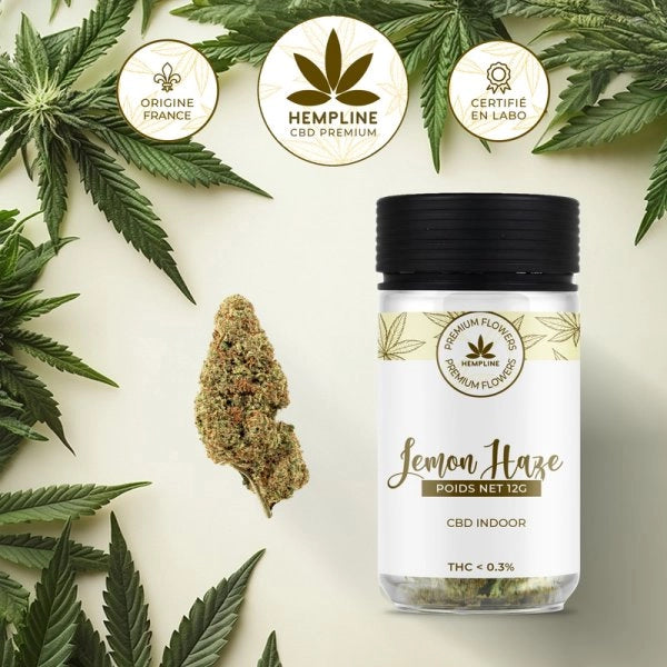 Lemon Haze Fleur de CBD (12g) - Hempline
