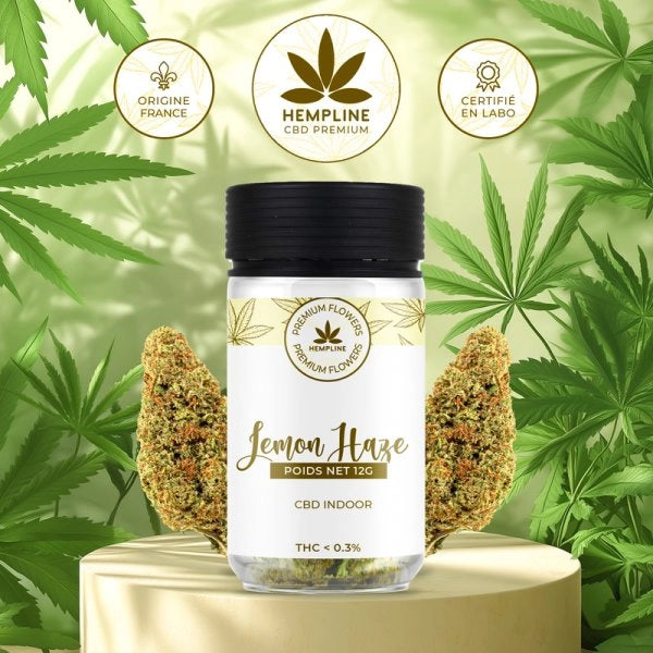 Lemon Haze Fleur de CBD (12g) - Hempline