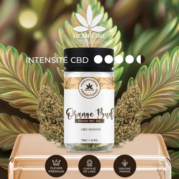 Orange Buds Fleur de CBD (12g) - Hempline