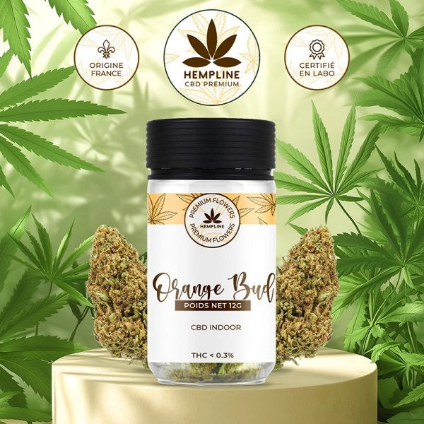 Orange Buds Fleur de CBD (12g) - Hempline